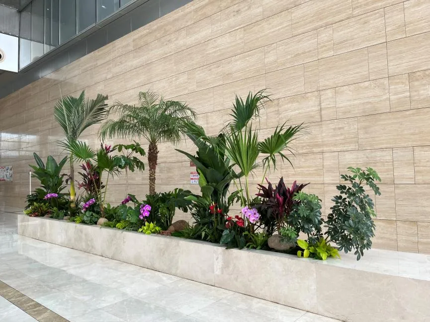 余姚绿植出租设计，给你不一样的绿色体验